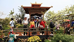 Resize of IMG_7126.JPG